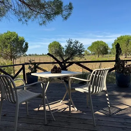Le Domaine D'ambre La Maison Des Vendangeurs Gallician