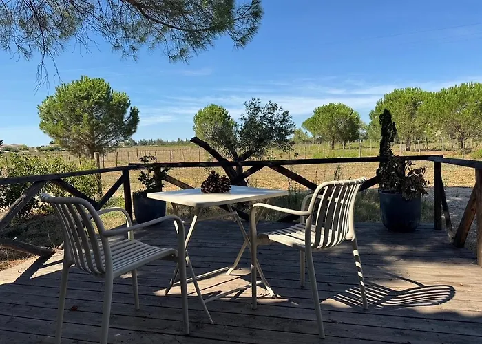 Le Domaine D'ambre La Maison Des Vendangeurs Gallician